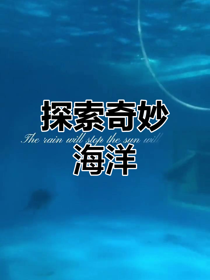 关于海底奇观潜水赛，探索海底沉寂的秘密宝藏的信息