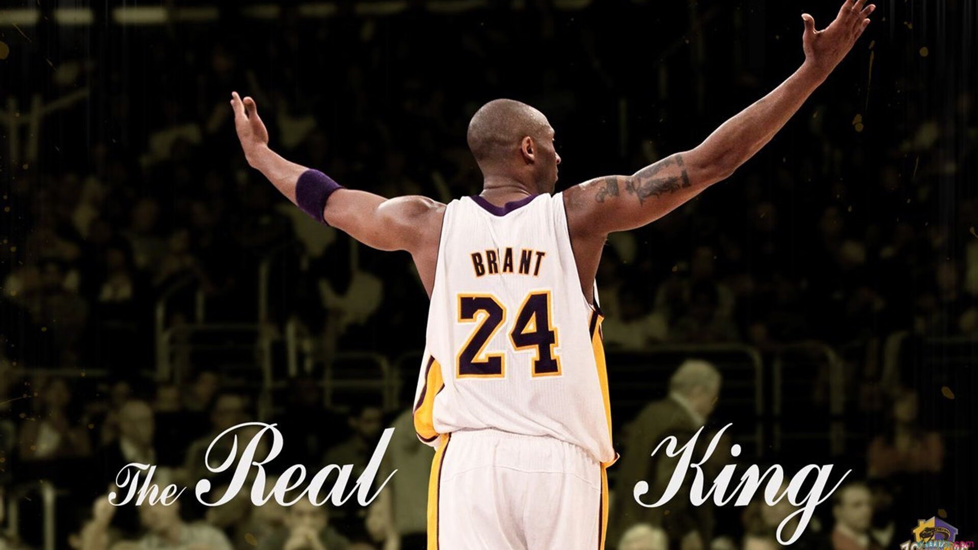 皇室战争“王者之路”全球总决赛倒计时,皇室战争总决赛冠军